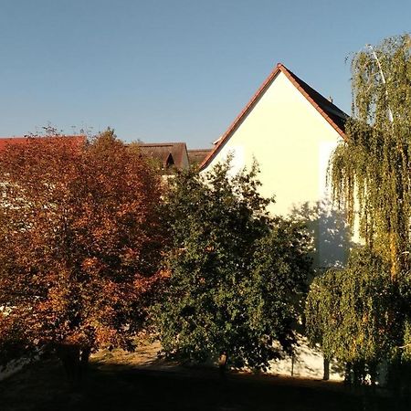 Ferienwohnung Maeurer Leipziger Neuseenland Groitzsch Exterior photo