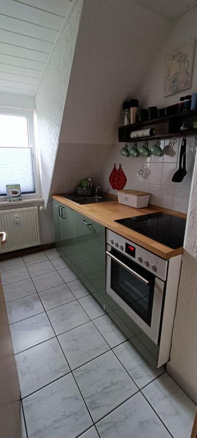 Ferienwohnung Maeurer Leipziger Neuseenland Groitzsch Exterior photo