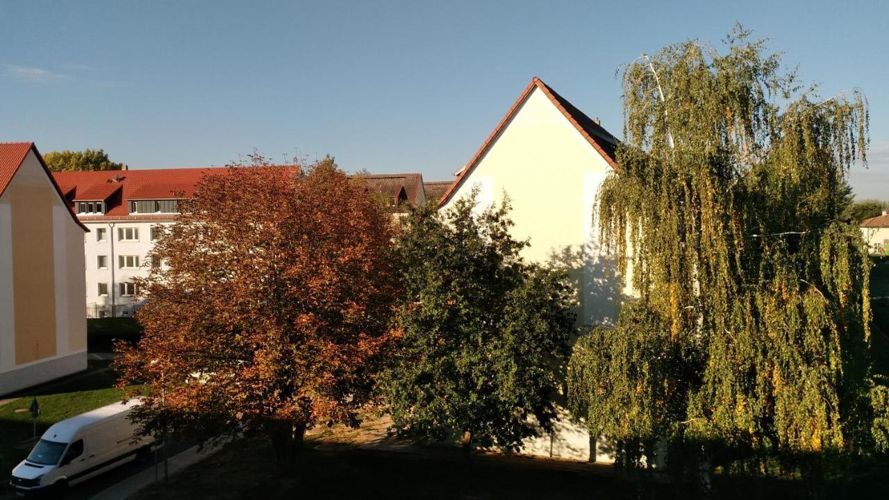 Ferienwohnung Maeurer Leipziger Neuseenland Groitzsch Exterior photo
